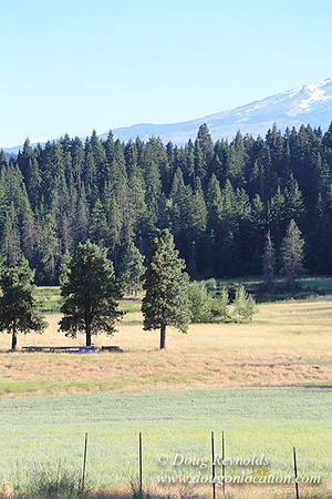 Elk Haven Ranch-8584