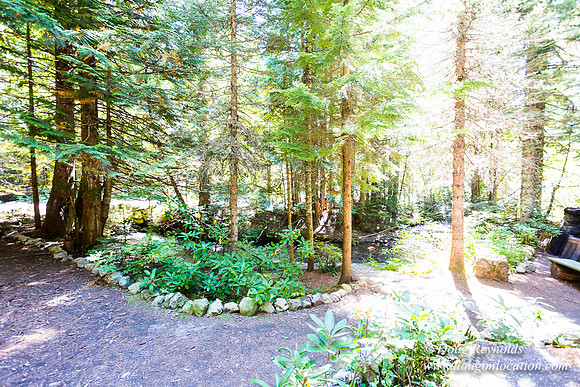 Karri's Cabin
