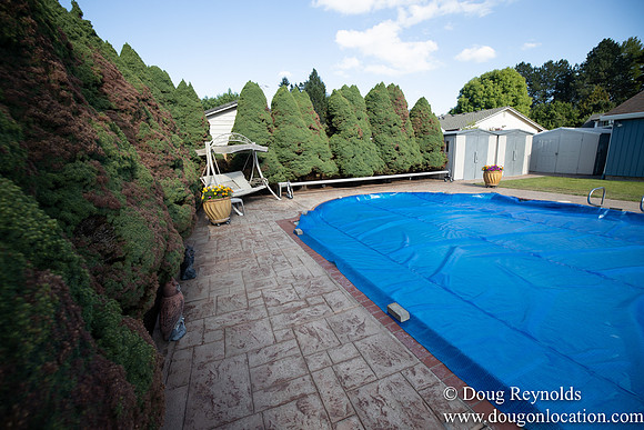 Rons Pool