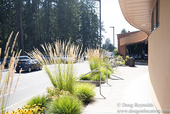 Hillsboro Pool