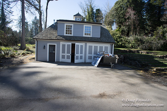 Amber's House