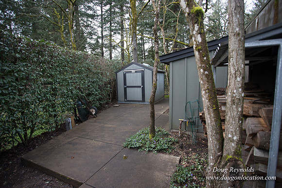 Eden's House