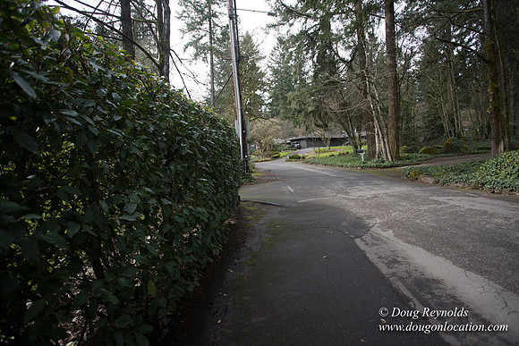 Eden's House