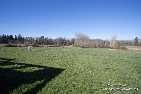 Yianni's Farm House