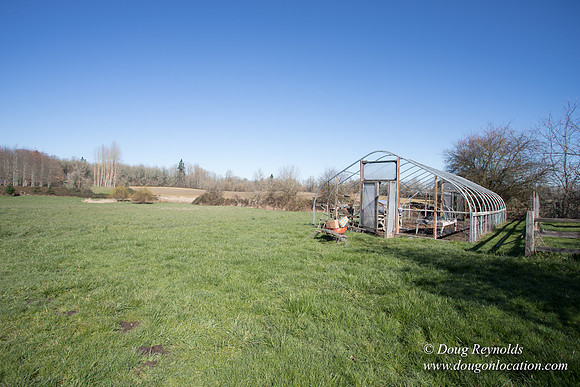 Yianni's Farm House