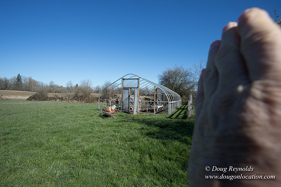 Yianni's Farm House