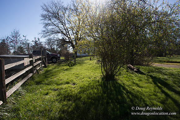 Yianni's Farm House