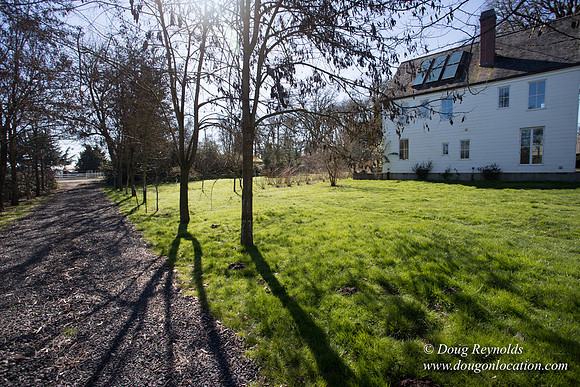 Yianni's Farm House