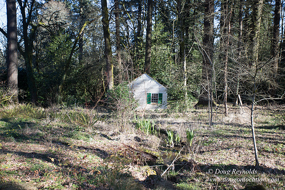 Amber's House