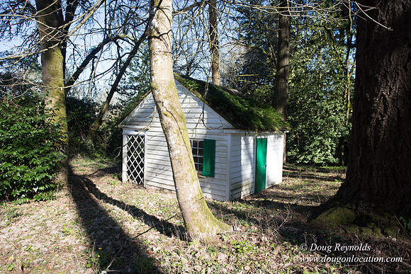 Amber's House