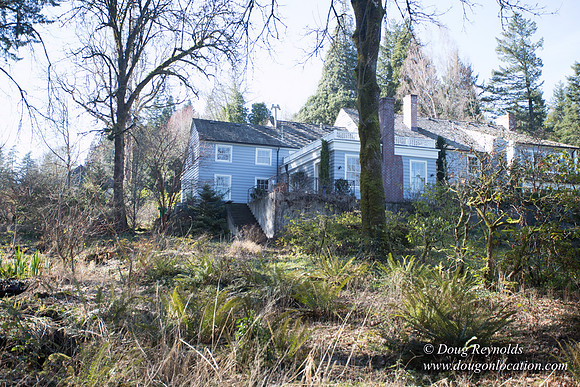 Amber's House