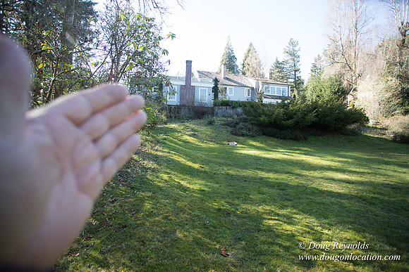 Amber's House