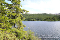 laurance North Side 2-4401