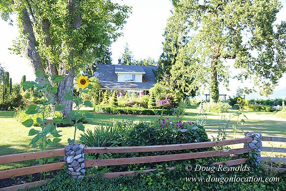 Patricks Farm Well maintained property, Lots of flowers Old Barn Farm House fruit trees Berries, Goats, Chicken’s, Turkey,