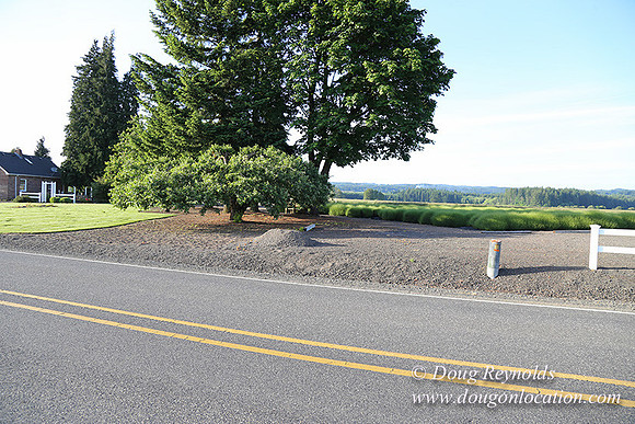 Toms Rd Side-6361