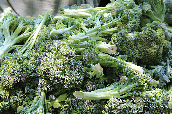 Portland PSU Farmers Mkt-5797