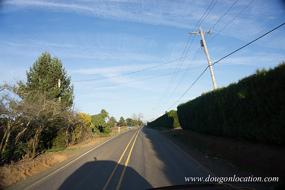Kelso Rd W Driving E-4014