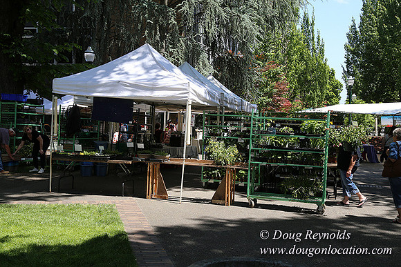 Portland PSU Farmers Mkt-5852