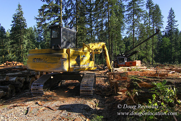 Craig Logging-3165