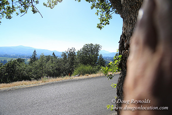 Panorama Point-8347
