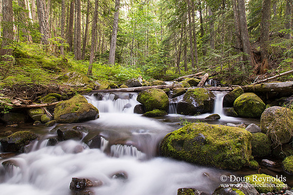Laurance Creek