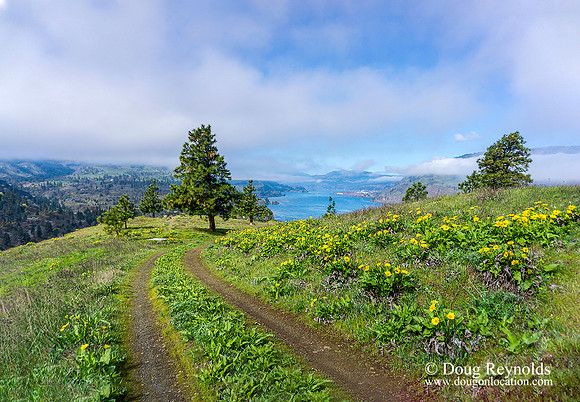 Mosier Hill
