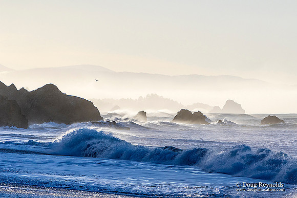 Rocks & Waves in Brookings