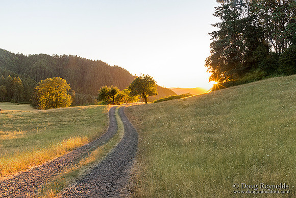 The Road at Sunset