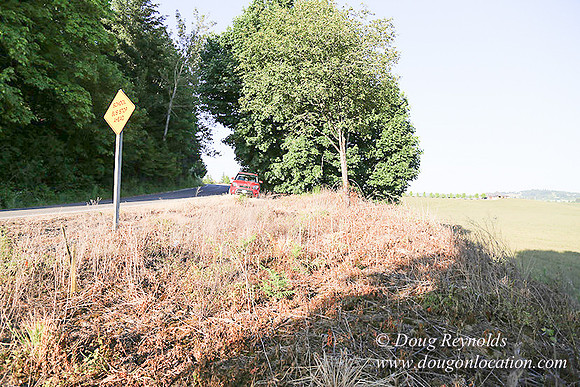 Moores Rd 2-7103