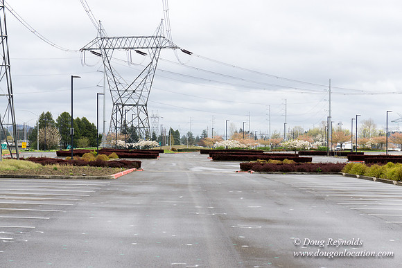 HB Stadium Parking