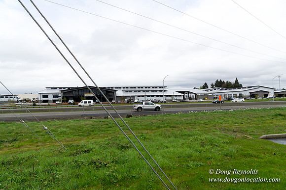 HB Stadium Parking