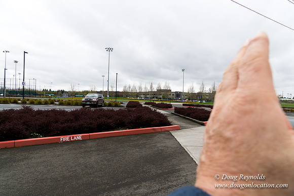 HB Stadium Parking