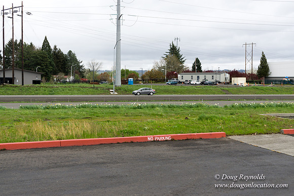 HB Stadium Parking
