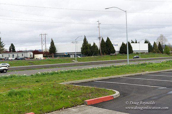 HB Stadium Parking