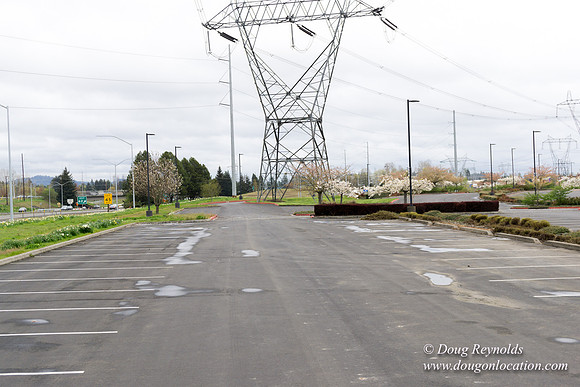 HB Stadium Parking