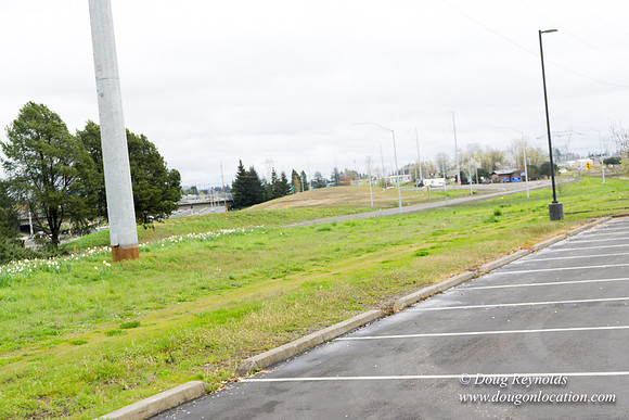 HB Stadium Parking