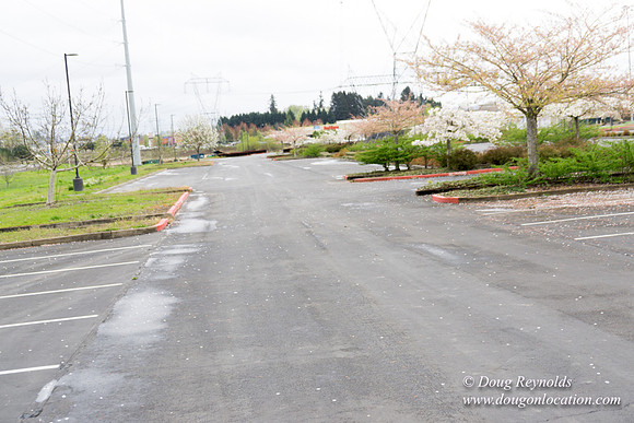 HB Stadium Parking