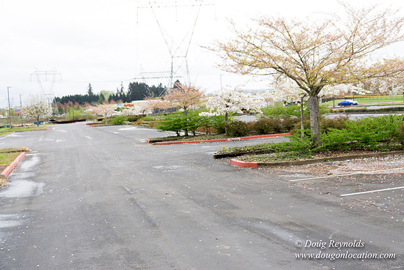 HB Stadium Parking