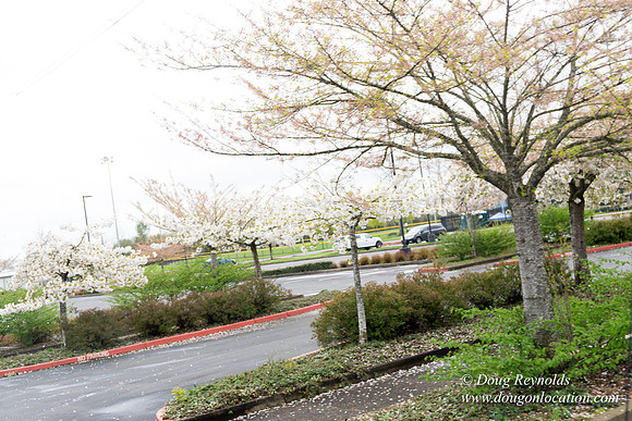 HB Stadium Parking