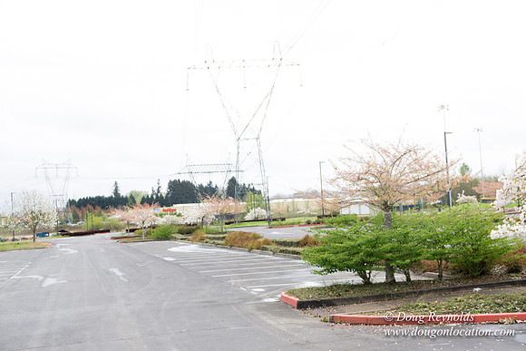 HB Stadium Parking