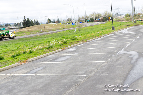HB Stadium Parking