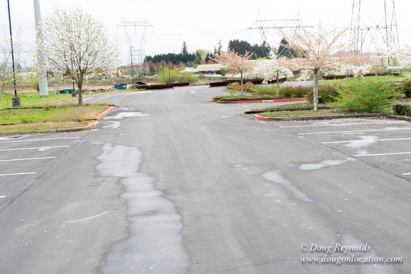 HB Stadium Parking