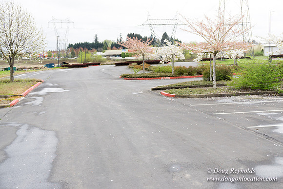 HB Stadium Parking