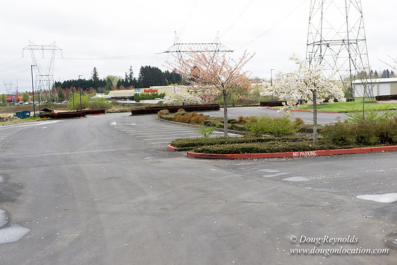 HB Stadium Parking