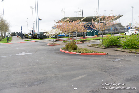 HB Stadium Parking