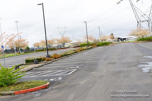 HB Stadium Parking