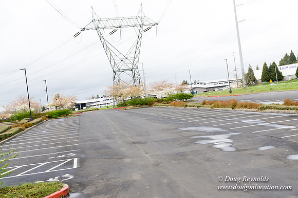 HB Stadium Parking