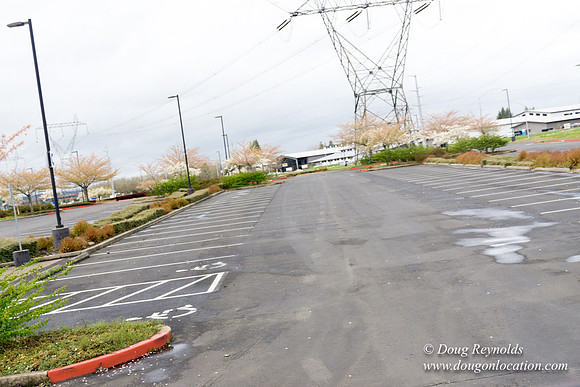 HB Stadium Parking