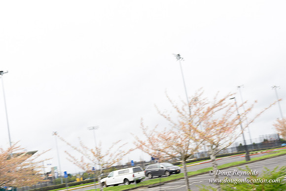 HB Stadium Parking