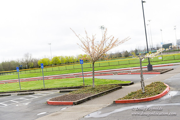 HB Stadium Parking